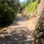 Dimore Saracene Hébergement de vacances *