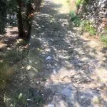 Hébergement de vacances Dimore Saracene *