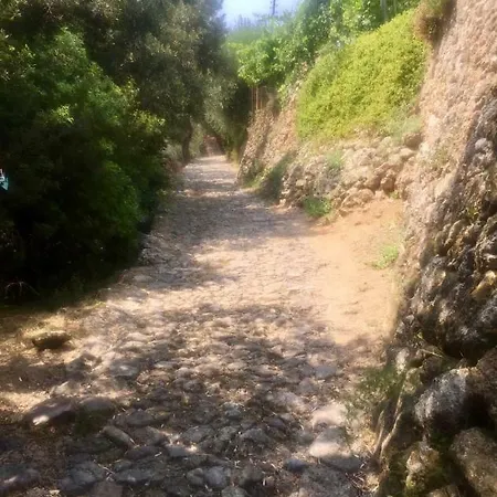 Dimore Saracene Tatil Evi *